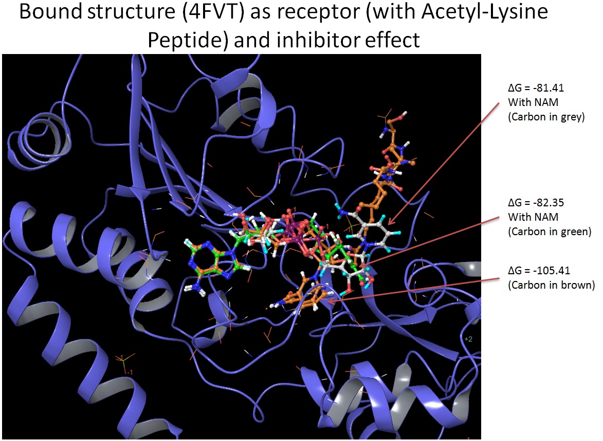 4FVT with peptide.jpg