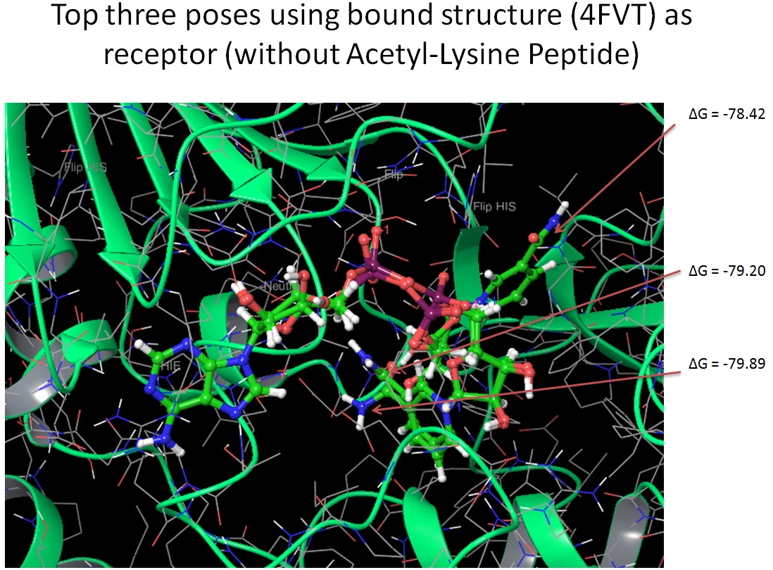 4FVT without peptide.jpg