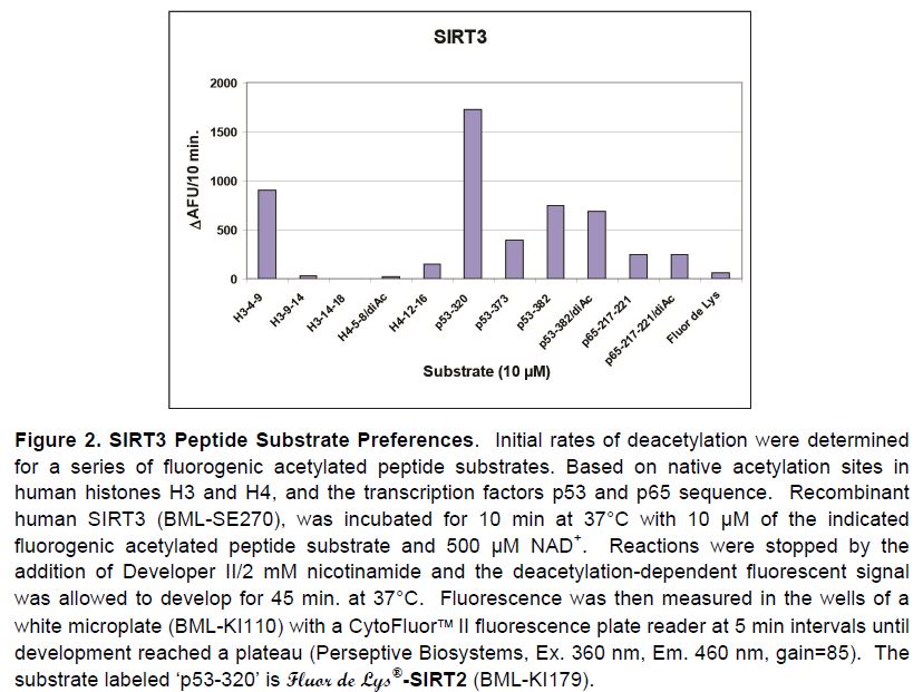 FdL2 peptide.JPG