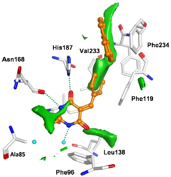 Inhibitor16_jung 2012 paper.jpg