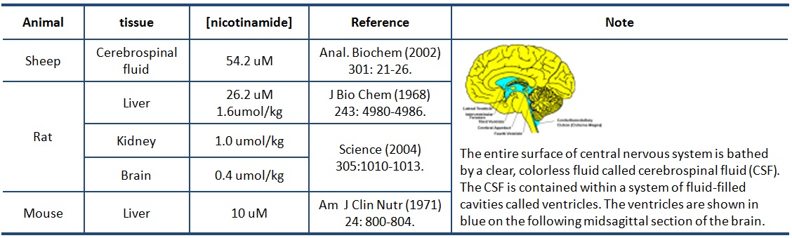 Physiological concentration of NAM in mammalian tissues.jpg