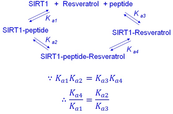 kinetic 1.jpg