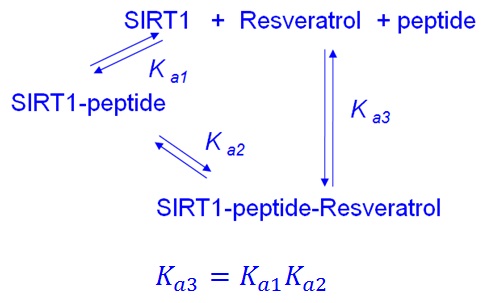 kinetic 2.jpg