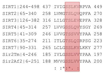 multiple_sequence_alignment_showing_B-pocket_residues_that_template_induced_fit_moved.jpeg